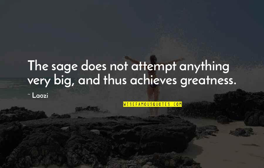 Achieves Quotes By Laozi: The sage does not attempt anything very big,