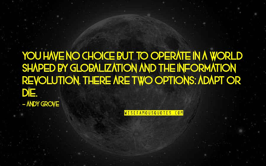 Achieving Goals In Life Quotes By Andy Grove: You have no choice but to operate in