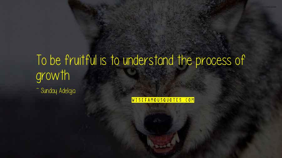 Achieving Goals In Life Quotes By Sunday Adelaja: To be fruitful is to understand the process Achieving Goals In Life Quotes By Sunday Adelaja: To be fruitful is to understand the process