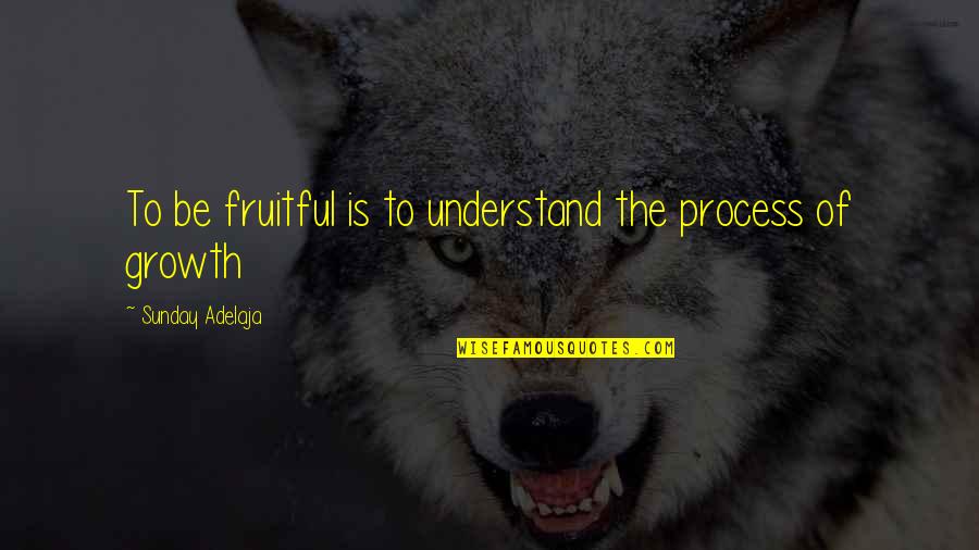 Achieving Goals In Life Quotes By Sunday Adelaja: To be fruitful is to understand the process