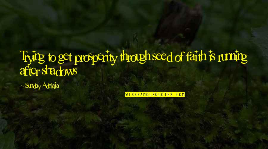 Achieving The Dream Quotes By Sunday Adelaja: Trying to get prosperity through seed of faith