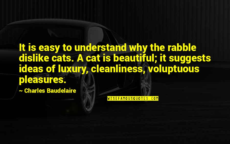 Achieving True Happiness Quotes By Charles Baudelaire: It is easy to understand why the rabble