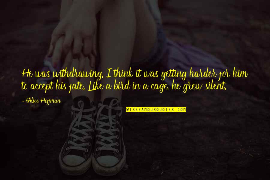 Achikolo Quotes By Alice Hoffman: He was withdrawing. I think it was getting Achikolo Quotes By Alice Hoffman: He was withdrawing. I think it was getting