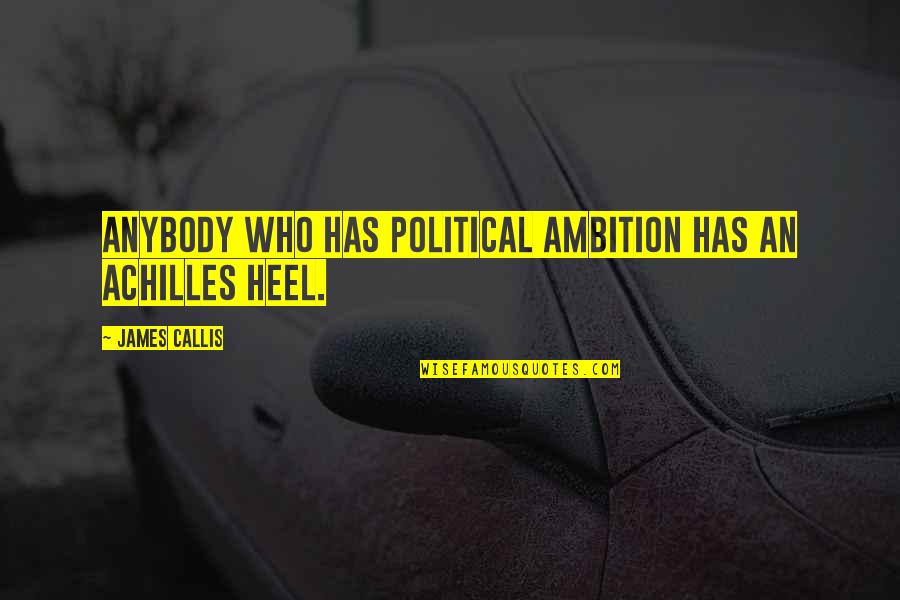 Achilles Heel Quotes By James Callis: Anybody who has political ambition has an Achilles