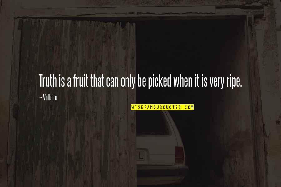 Achin Vanaik Quotes By Voltaire: Truth is a fruit that can only be