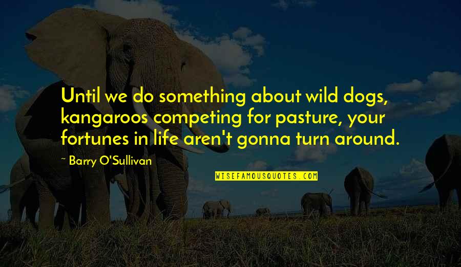 Achizitie Rovinieta Quotes By Barry O'Sullivan: Until we do something about wild dogs, kangaroos