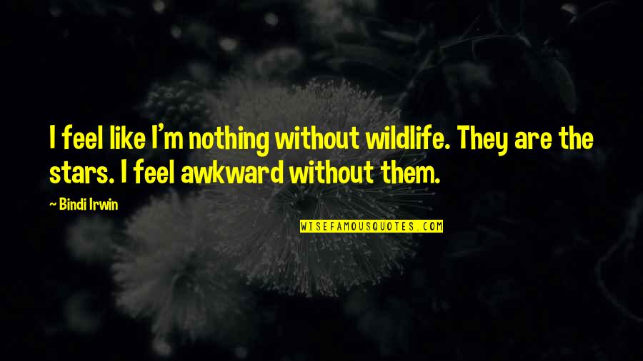Achour Quotes By Bindi Irwin: I feel like I'm nothing without wildlife. They