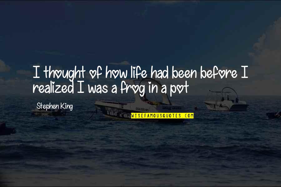 Acid Quotes Quotes By Stephen King: I thought of how life had been before