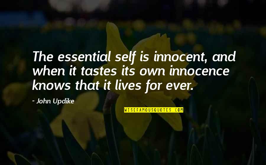 Acids Quotes By John Updike: The essential self is innocent, and when it