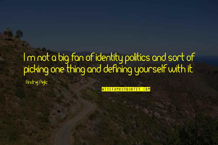 Ackbar Og Quotes By Andrej Pejic: I'm not a big fan of identity politics Ackbar Og Quotes By Andrej Pejic: I'm not a big fan of identity politics