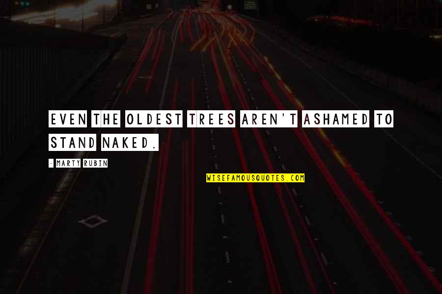 Ackerley Brothers Quotes By Marty Rubin: Even the oldest trees aren't ashamed to stand