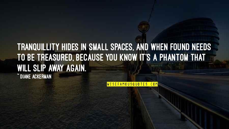 Ackerman Quotes By Diane Ackerman: Tranquillity hides in small spaces, and when found