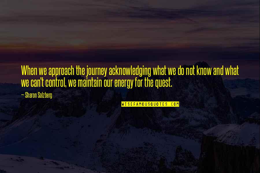 Acknowledging Quotes By Sharon Salzberg: When we approach the journey acknowledging what we