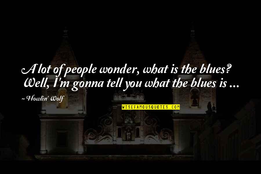 Acnestar Quotes By Howlin' Wolf: A lot of people wonder, what is the Acnestar Quotes By Howlin' Wolf: A lot of people wonder, what is the