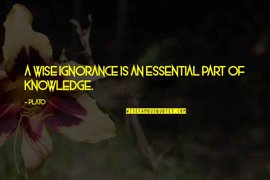 Acord 140 Quotes By Plato: A wise ignorance is an essential part of