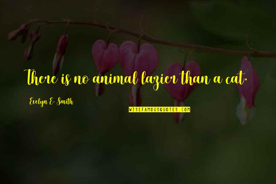 Acordis Acetate Quotes By Evelyn E. Smith: There is no animal lazier than a cat. Acordis Acetate Quotes By Evelyn E. Smith: There is no animal lazier than a cat.