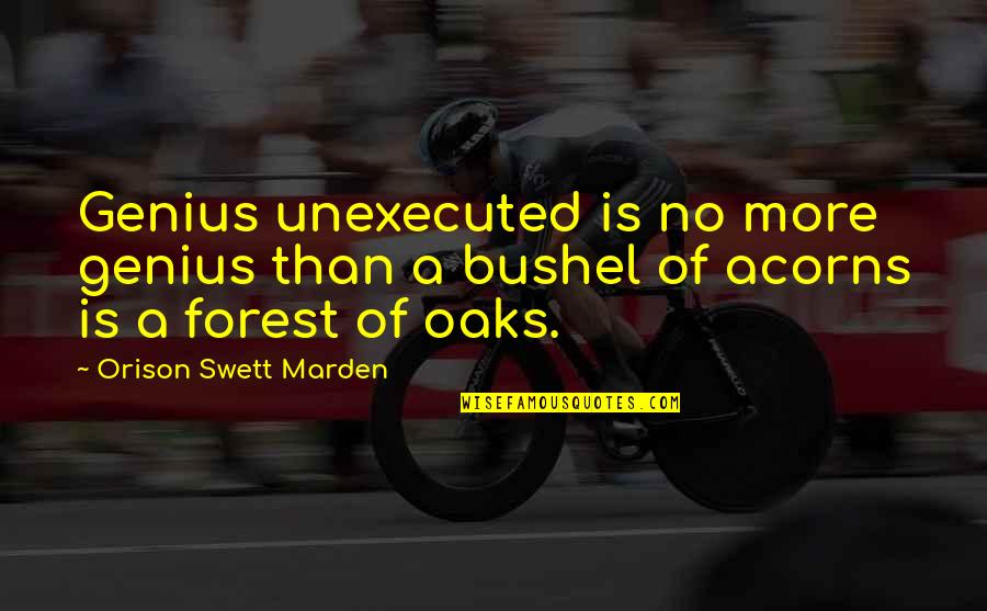 Acorns Quotes By Orison Swett Marden: Genius unexecuted is no more genius than a