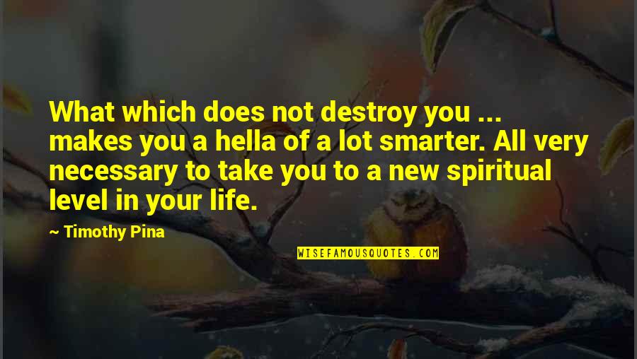 Acquaviva Maple Quotes By Timothy Pina: What which does not destroy you ... makes