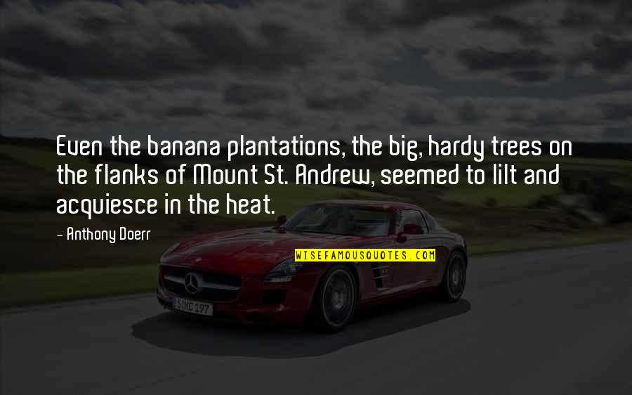 Acquiesce Quotes By Anthony Doerr: Even the banana plantations, the big, hardy trees