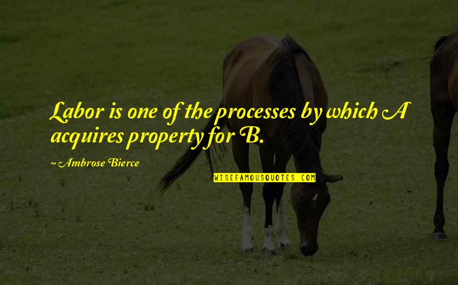 Acquires Quotes By Ambrose Bierce: Labor is one of the processes by which
