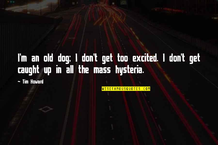 Acrea Quotes By Tim Howard: I'm an old dog; I don't get too Acrea Quotes By Tim Howard: I'm an old dog; I don't get too