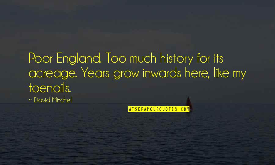 Acreage Quotes By David Mitchell: Poor England. Too much history for its acreage.