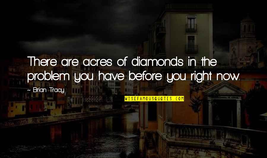 Acres Quotes By Brian Tracy: There are acres of diamonds in the problem