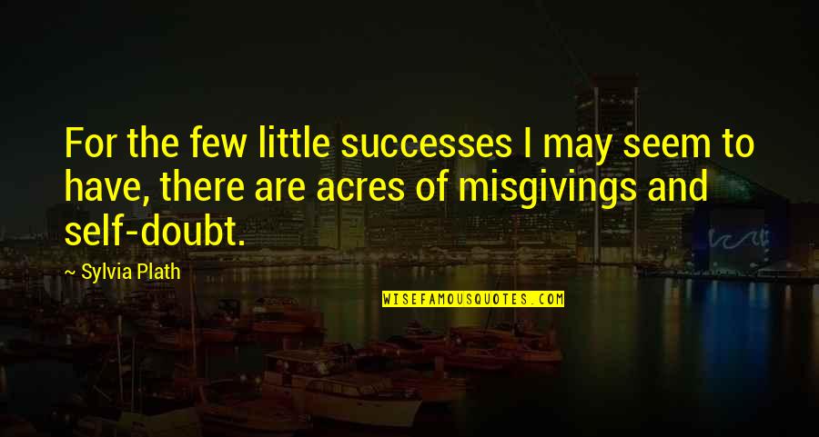 Acres Quotes By Sylvia Plath: For the few little successes I may seem