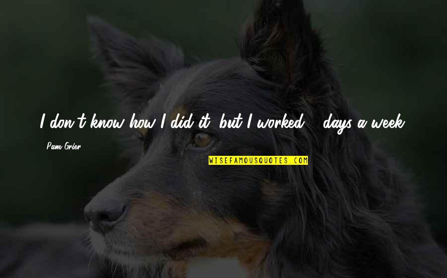 Acrius Catalyst Quotes By Pam Grier: I don't know how I did it, but