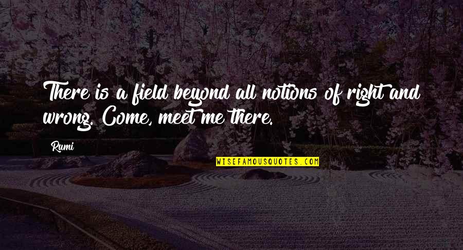 Act Fast Quotes By Rumi: There is a field beyond all notions of