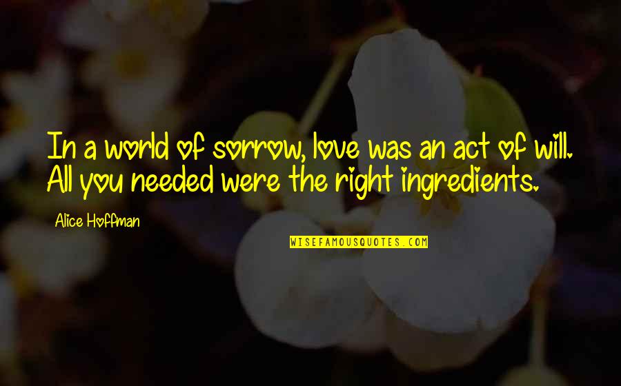 Act Of Will Quotes By Alice Hoffman: In a world of sorrow, love was an