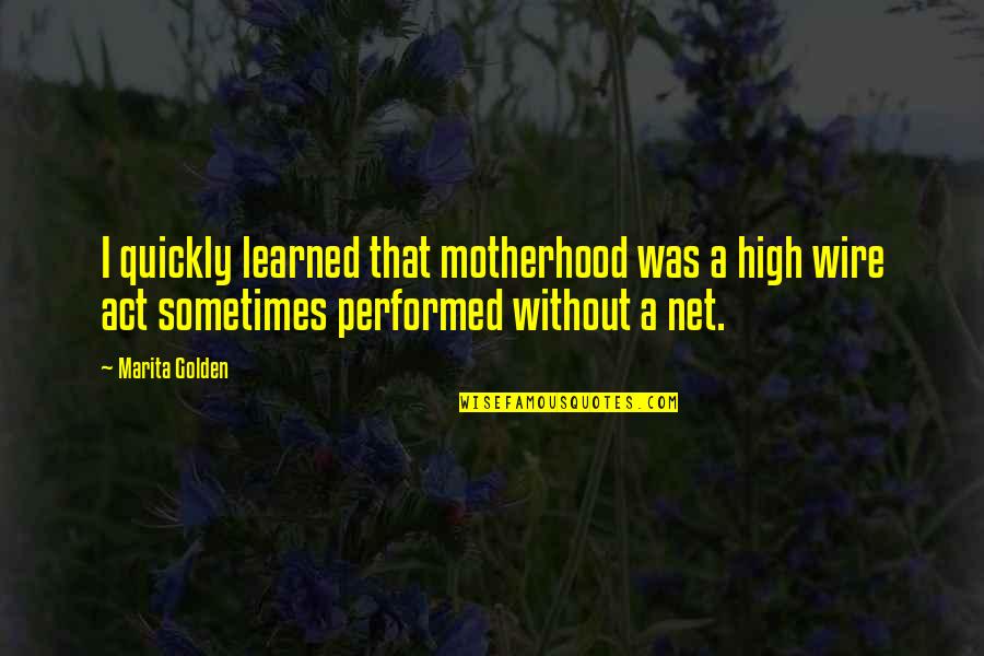 Act Quickly Quotes By Marita Golden: I quickly learned that motherhood was a high