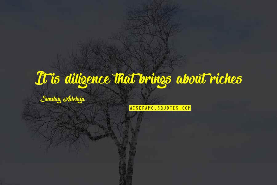 Acting Like A Lady Quotes By Sunday Adelaja: It is diligence that brings about riches