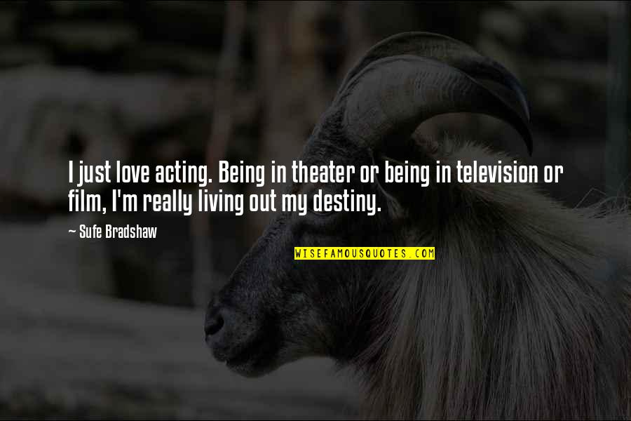 Acting Love Quotes By Sufe Bradshaw: I just love acting. Being in theater or