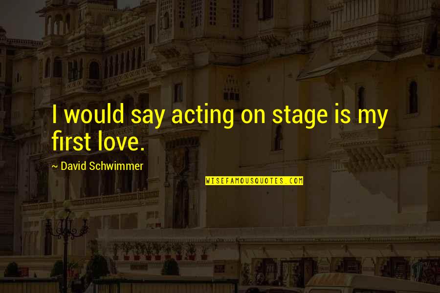 Acting On Love Quotes By David Schwimmer: I would say acting on stage is my