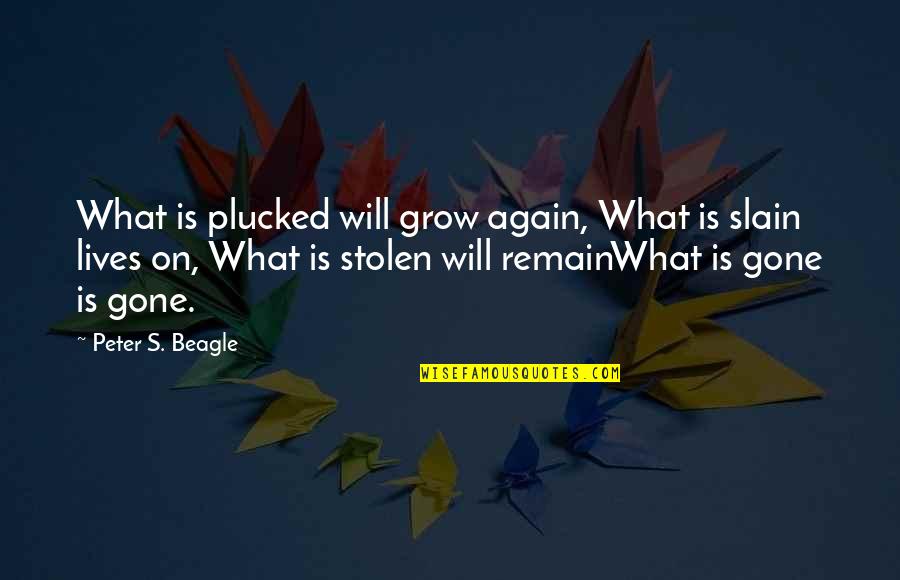Acting Strange Quotes By Peter S. Beagle: What is plucked will grow again, What is