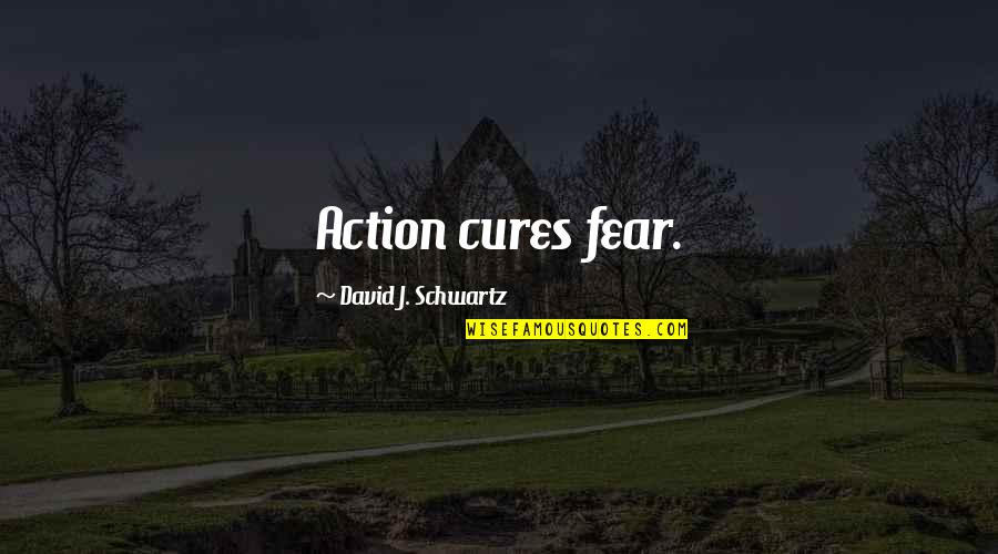 Action And Fear Quotes By David J. Schwartz: Action cures fear.