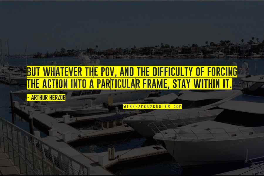 Action And Quotes By Arthur Herzog: But whatever the POV, and the difficulty of