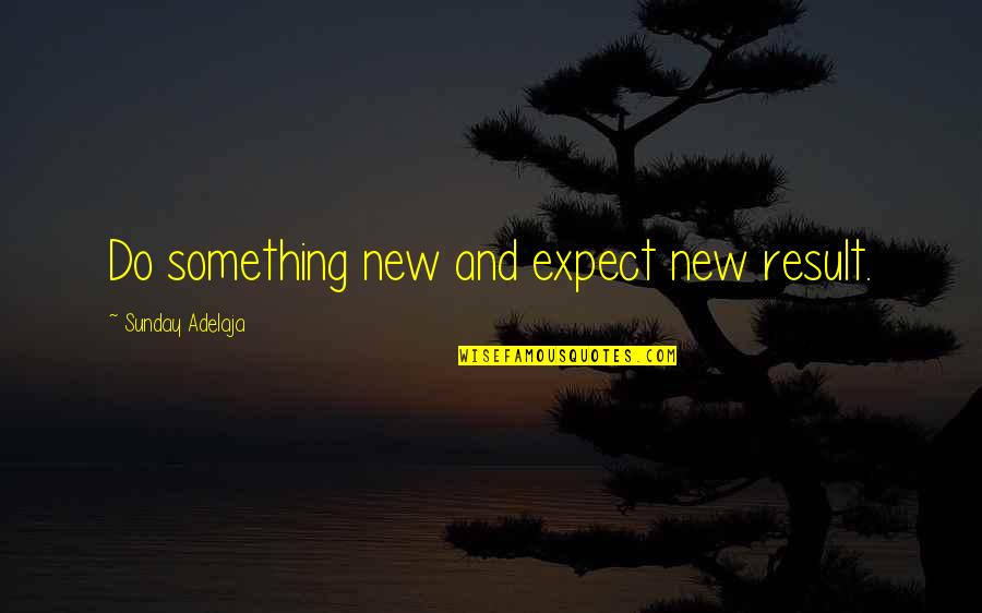 Action And Result Quotes By Sunday Adelaja: Do something new and expect new result.