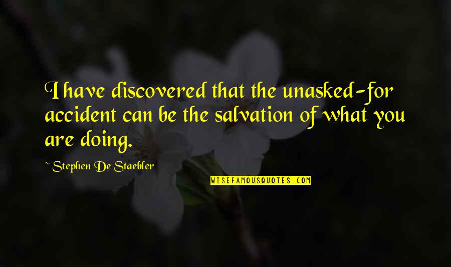 Action Figure Quotes By Stephen De Staebler: I have discovered that the unasked-for accident can