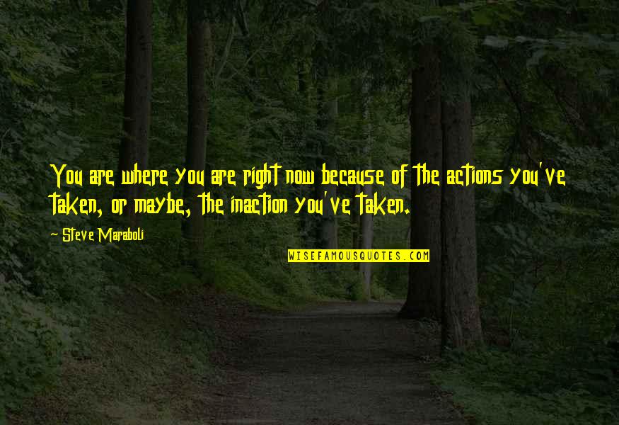 Action Inaction Quotes By Steve Maraboli: You are where you are right now because