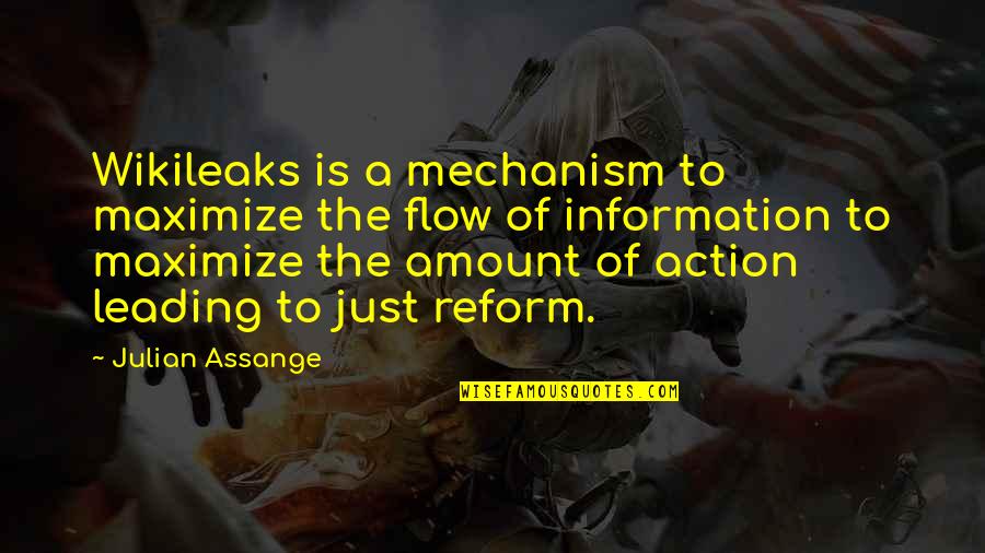 Action The Quotes By Julian Assange: Wikileaks is a mechanism to maximize the flow