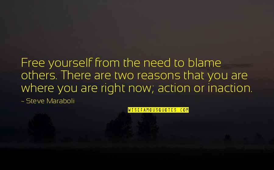 Action Vs Inaction Quotes By Steve Maraboli: Free yourself from the need to blame others.