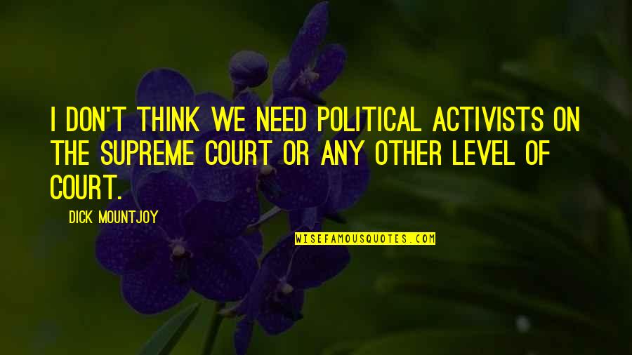 Activists Quotes By Dick Mountjoy: I don't think we need political activists on