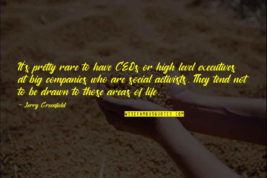 Activists Quotes By Jerry Greenfield: It's pretty rare to have CEOs or high