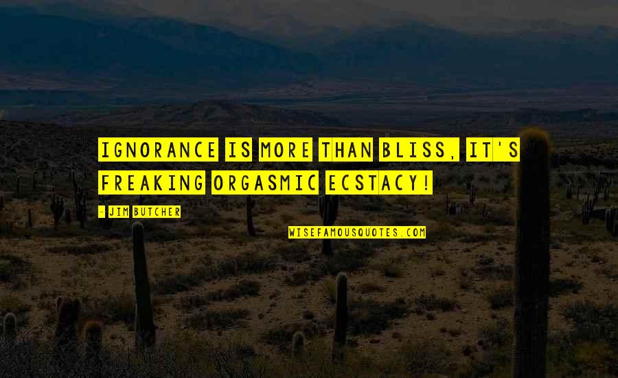 Activitate Practica Quotes By Jim Butcher: Ignorance is more than bliss, it's freaking orgasmic