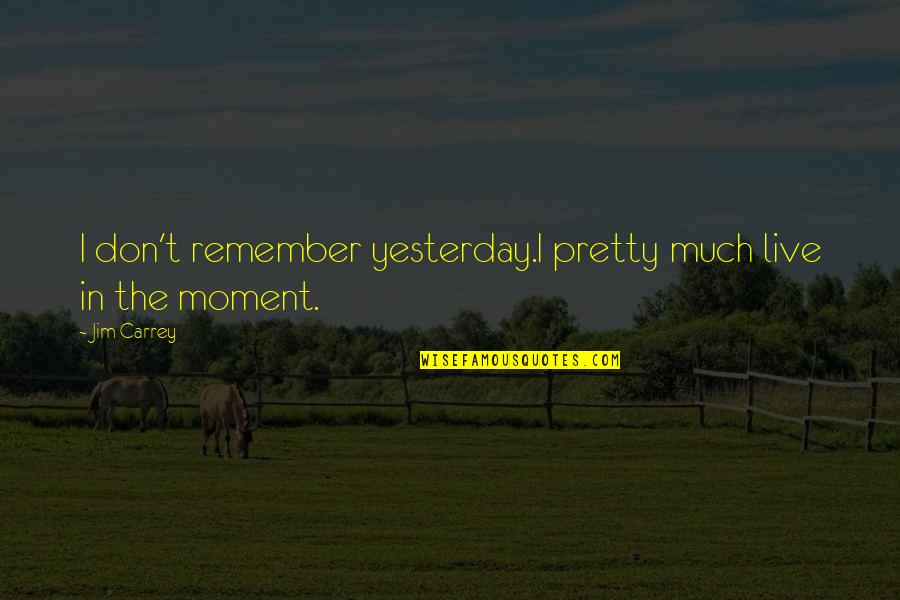 Activites Quotes By Jim Carrey: I don't remember yesterday.I pretty much live in