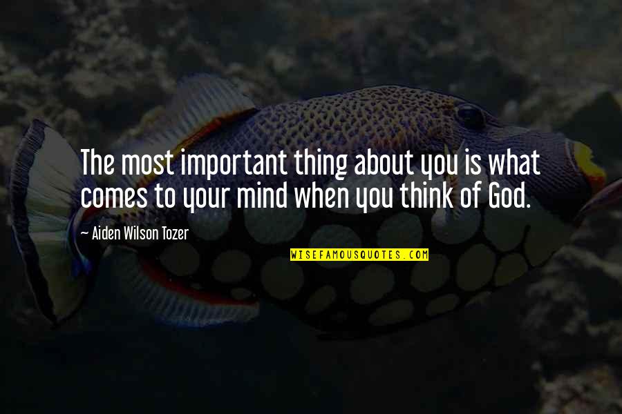 Actoresses Quotes By Aiden Wilson Tozer: The most important thing about you is what Actoresses Quotes By Aiden Wilson Tozer: The most important thing about you is what