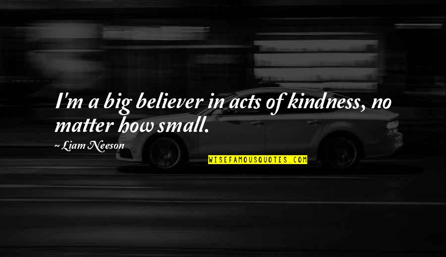 Acts Of Kindness Quotes By Liam Neeson: I'm a big believer in acts of kindness,