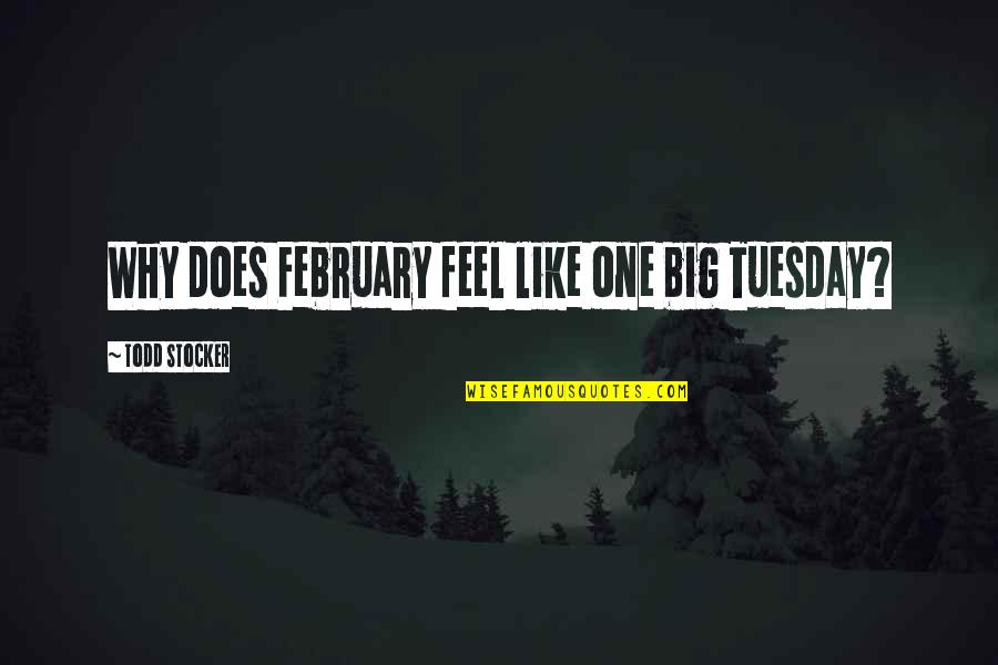 Actualisation Quotes By Todd Stocker: Why does February feel like one big Tuesday?